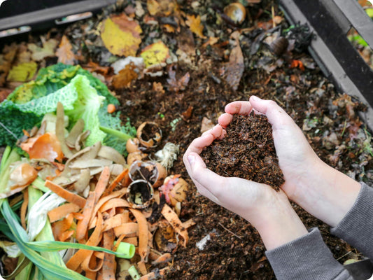 Fomentando el Compostaje de Residuos Orgánicos en Empresas de Alimentos: Beneficios Ambientales y Económicos
